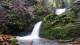 Stephen's Vale, part of Woodland Trust's Greyfield Wood_172134320.jpg