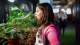 We_The_Curious_credit_Lisa_Whiting_2__1428397037.jpg