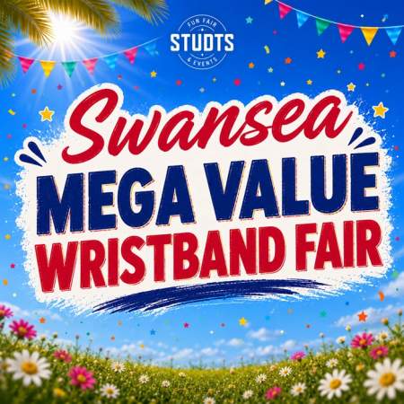 Swansea Mega Value Wristband Fair