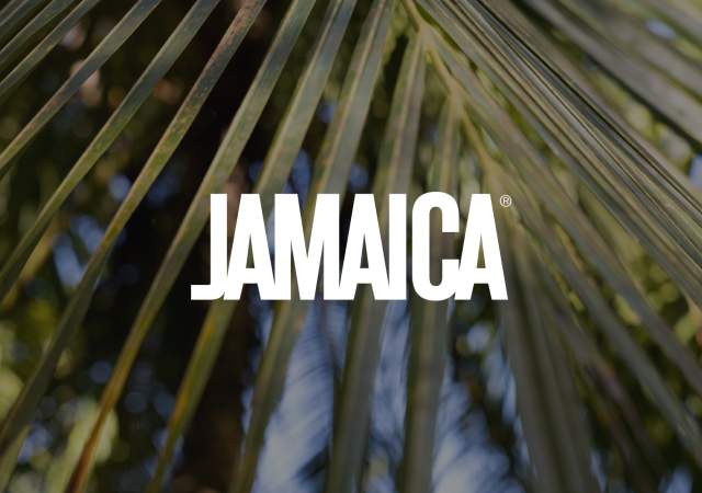 Experiences in Jamaica: Rebel Salute
