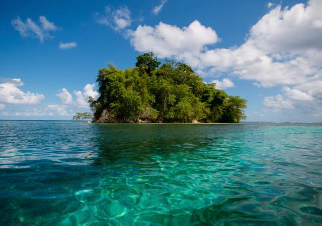 Port Antonio is a Photographer’s Paradise: Top 5 Locations for Capturing Nature & Wildlife