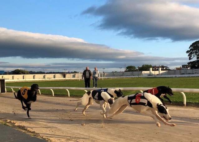 Drumbo Park Greyhound Stadium