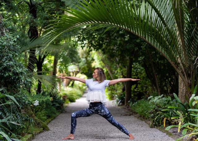 Festival of Wellness