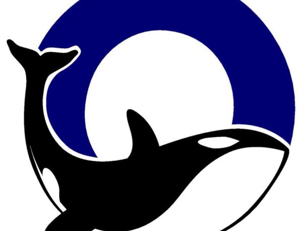 Orca Running