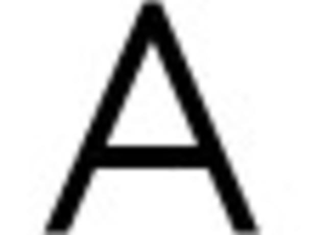 NYB Gallery Logo