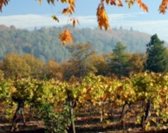 El Dorado Winery Association