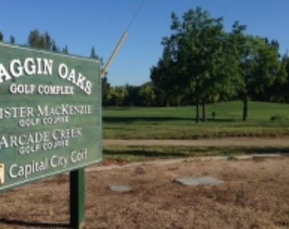 Haggin Oaks
