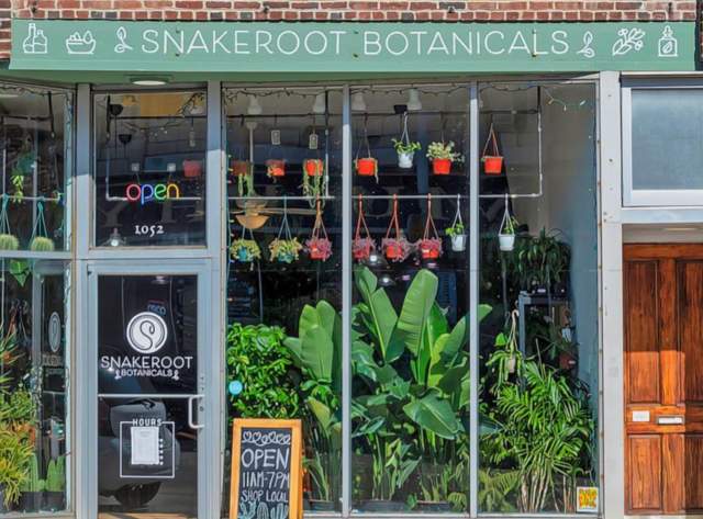 4 Indy-based Plant Stores That Are Sure to “Leaf” an Impression on You