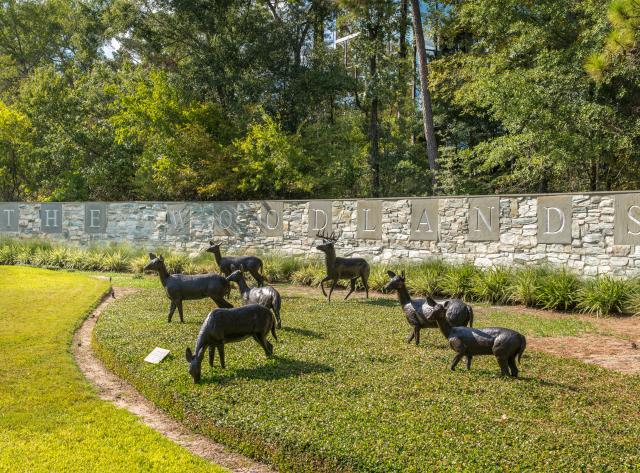 The Woodlands Whitetails