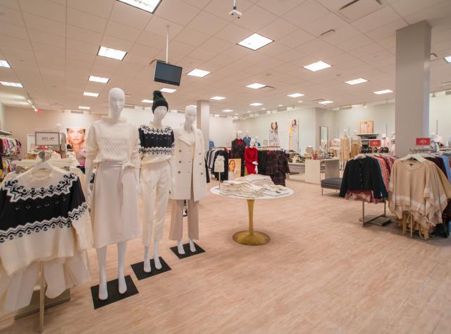 Ann Taylor