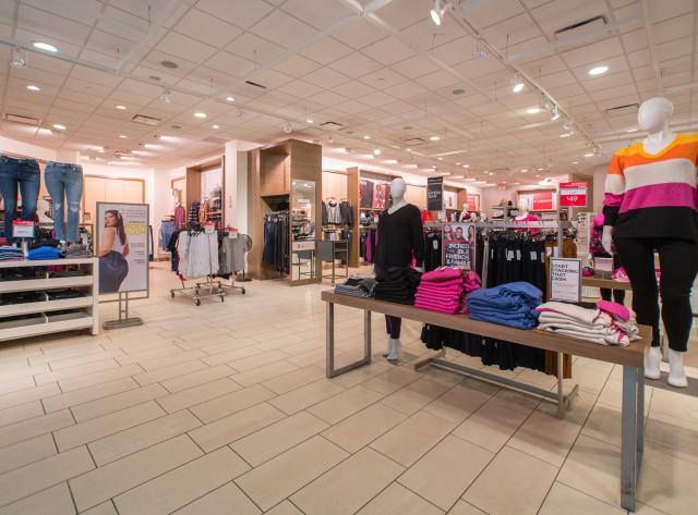Lane Bryant