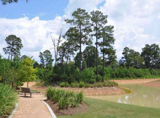 Monarch Park Pond and Seating Area