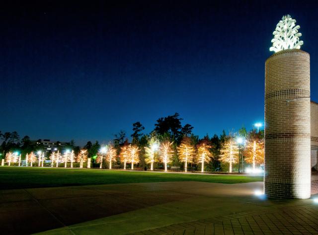 Town Green Park
