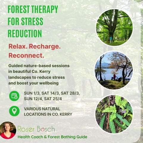 Forest Therapy for Stress Reduction