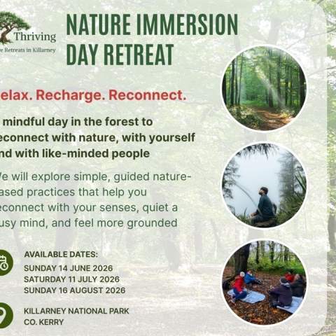 Nature Immersion Day Retreat