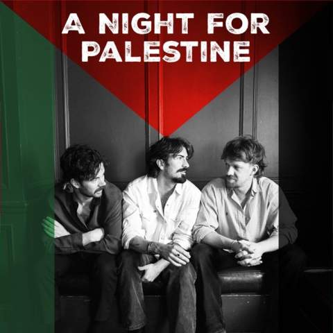 A night for Palestine with Amble