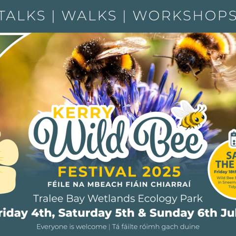 Kerry Wild Bee Festival 2025