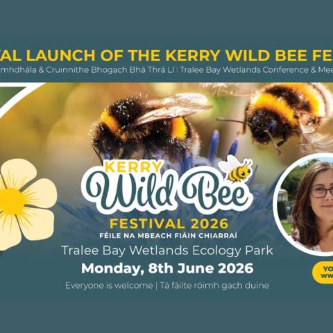 Kerry Wild Bee Festival Launch