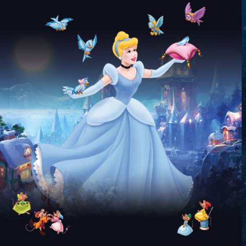 Christnas Panto - Cinderella