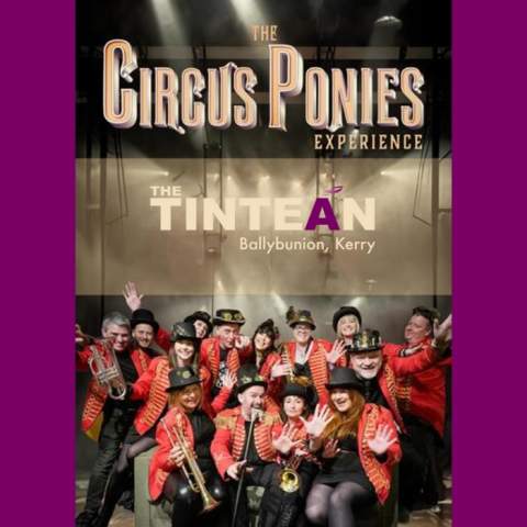 Circus Ponies Experience