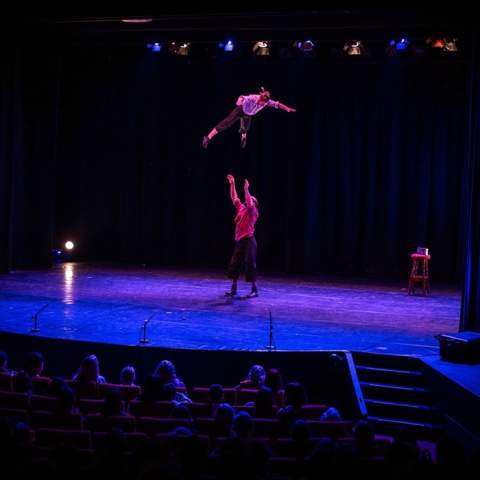 National Circus Festival of Ireland
