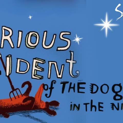The Curious Incident of the Dog in the Night-Time