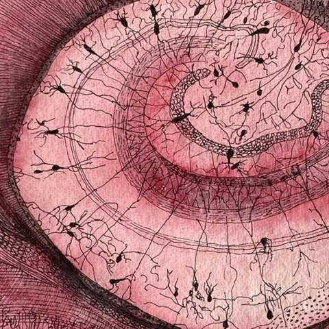 Eilís O'Connell – Whorls