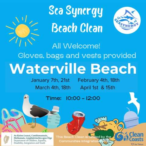 Sea Synergy Beach Cleans