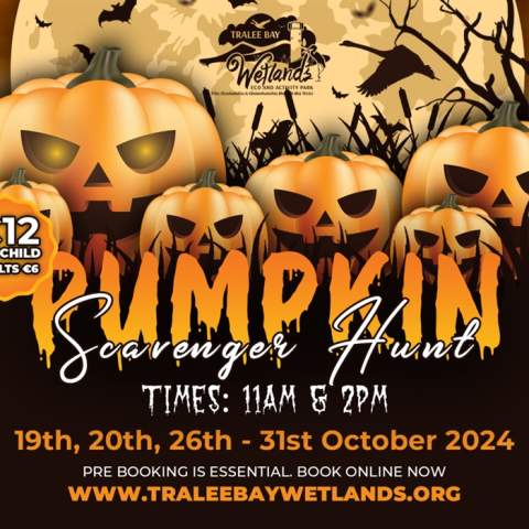 Halloween Pumpkin Scavenger Hunt 2024