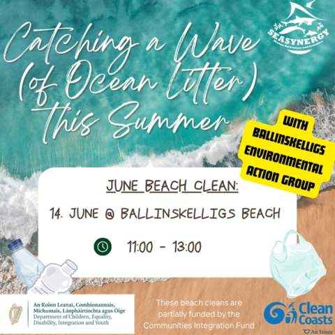 June Beach Clean with BEAG