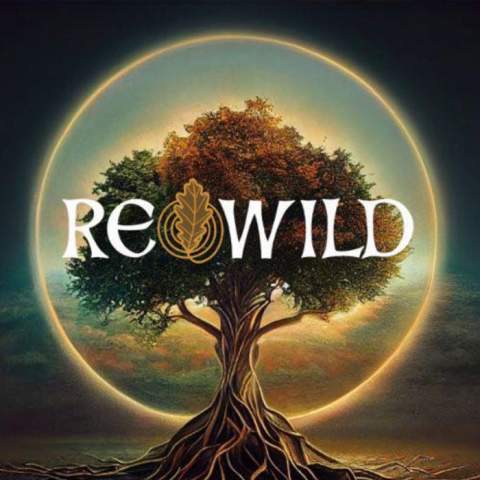 Rewild Festival