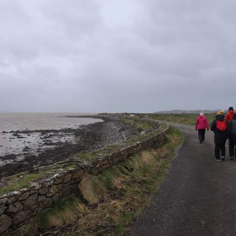 Nature Bay Walk by Tralee Bay Wetlands Ecology Park