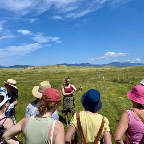 Coastal Wild Food Walk & Workshop with Danu Herbalist