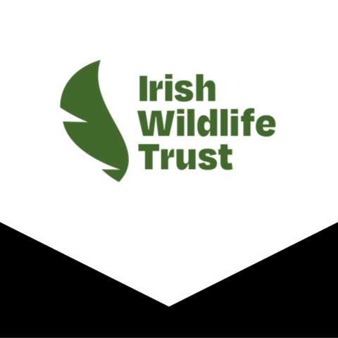 Irish Wildlife Trust