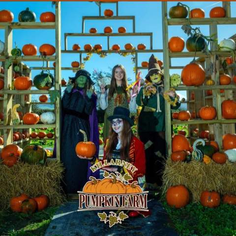 Killarney Pumpkin Farm