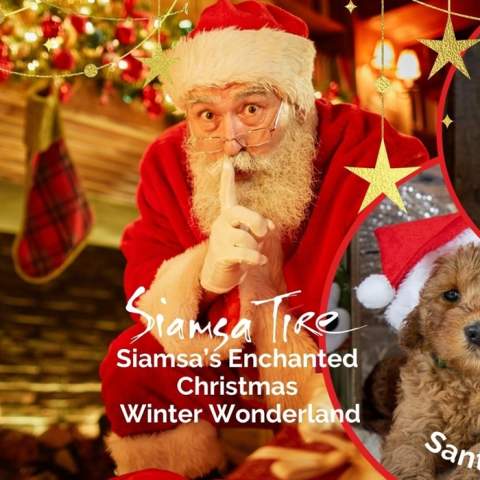 Enchanted Christmas Winter Wonderland