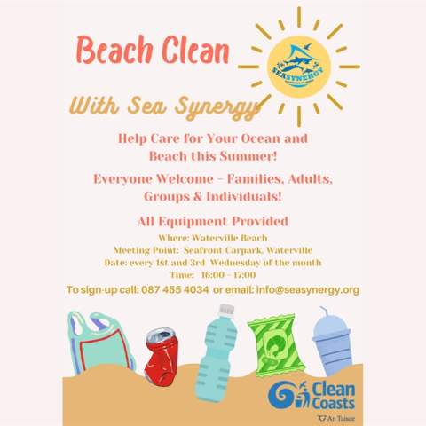 Waterville Beach Clean