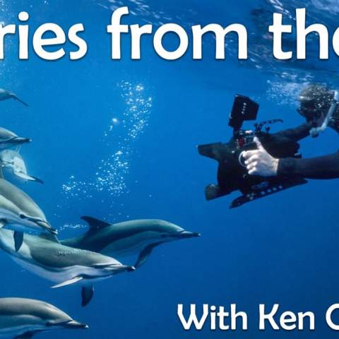 Stories from the Sea with Underwater Cameraman Ken O'Sullivan