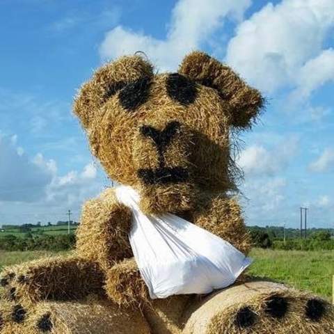 Kilflynn Enchanted Fairy Festival