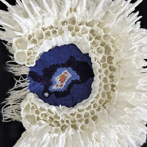 Exhibition: Aisling Roche, 'Nacria'