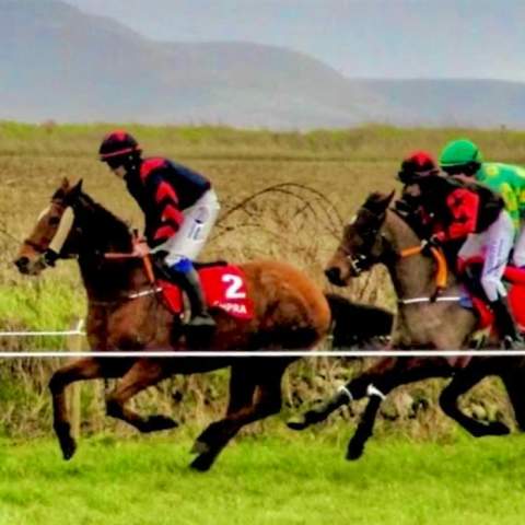 Ballyheigue Races