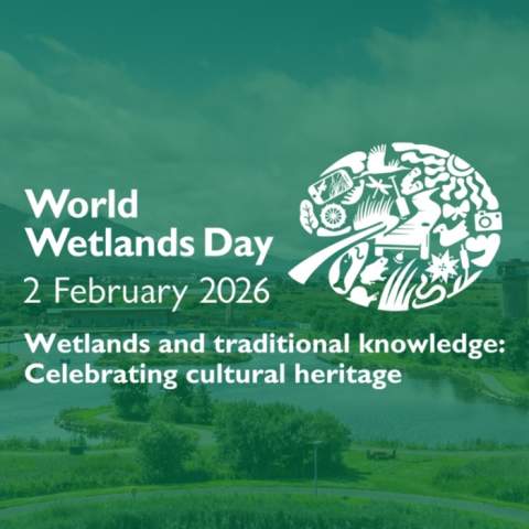 World Wetlands Day
