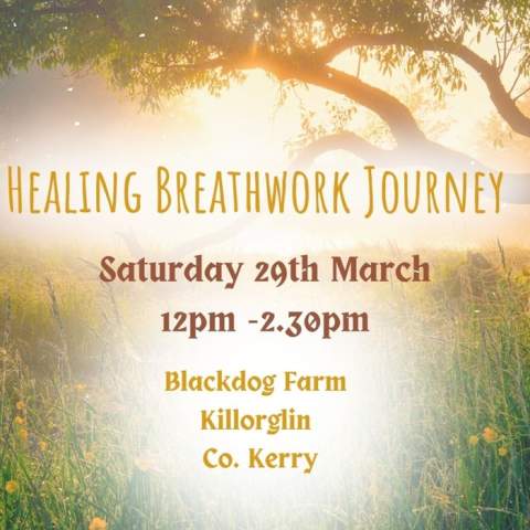 Healing Breathwork Journey