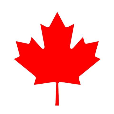 Ireland's Only Canada Day Party...We Think