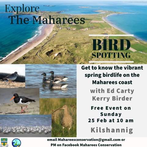 Bird Spotting with Ed Carty