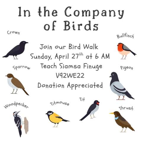 In the Company of Birds