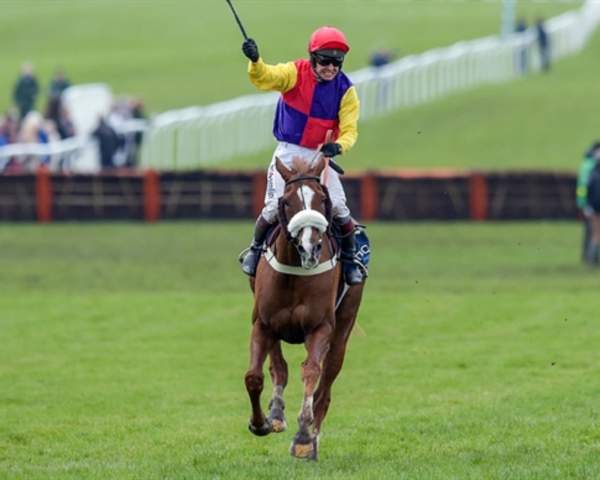 The Cheltenham Gold Cup