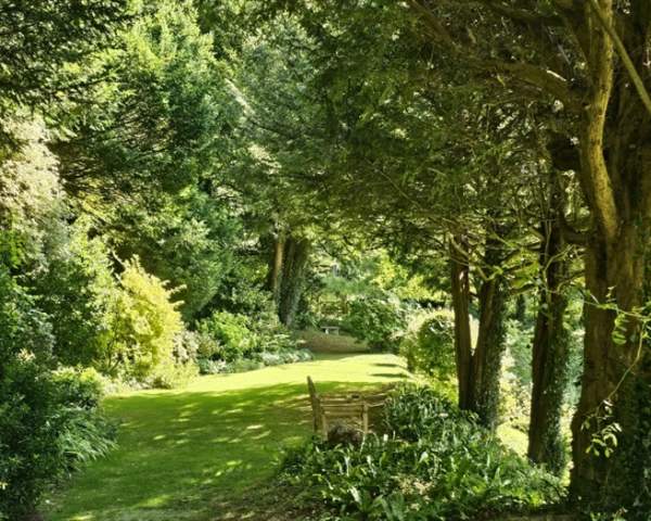The National Garden Scheme: Down Place