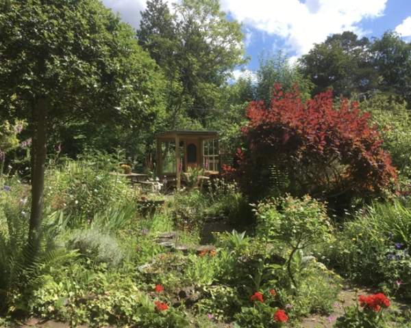 The National Garden Scheme: 1 Pest Cottage, Midhurst Open Garden