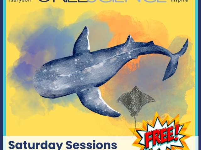 The Science of Sharks - 14 June